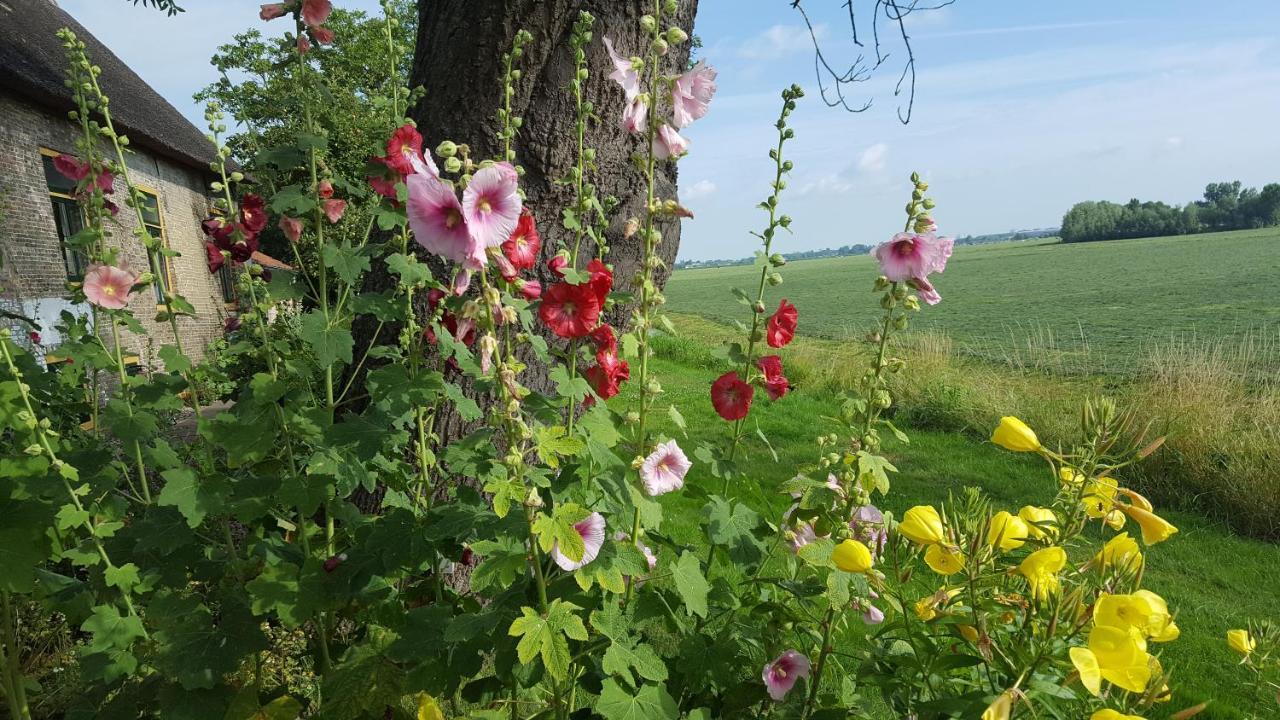 B&B Rechthuis Van Zouteveen Schipluiden Eksteriør billede